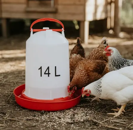 Chicken Drinker 14L by General — Pet Accessories — PetAura Qatar