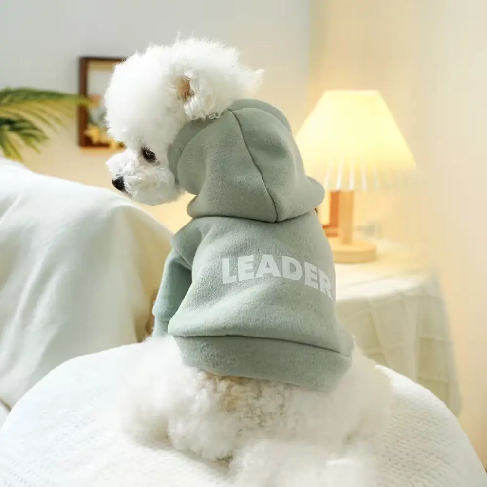 Pet Print Sweatshirt GR XL 44×32×40cm by General — Dog Clothing — PetAura Qatar