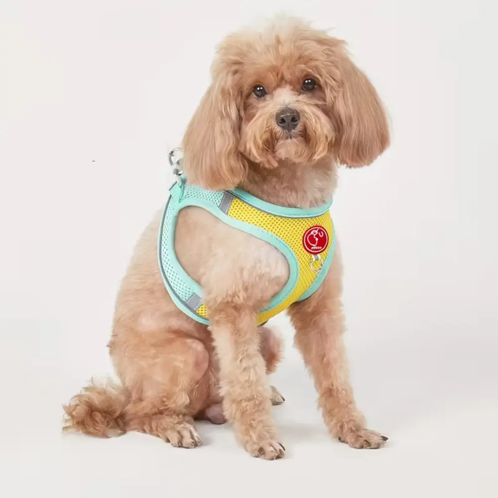 Breathable Dog Harness GR XL