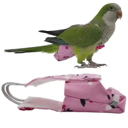 Parrot Diaper Flight Suit Bowtie M