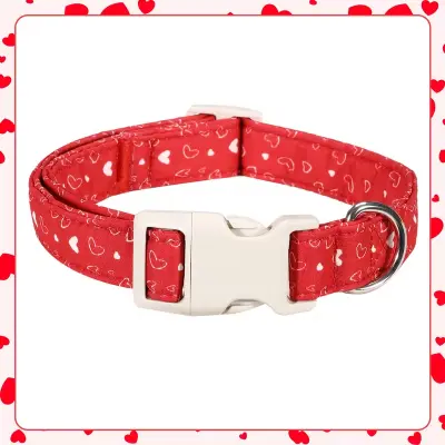 Heart Pattern Pet Collar Red L Size by General — Pet Accessories — PetAura Qatar