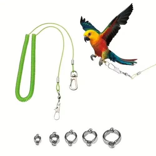 Retractable Flight Leash Kit M GR by General — Pet Accessories — PetAura Qatar