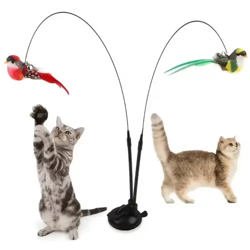 Cat Toy Set Design