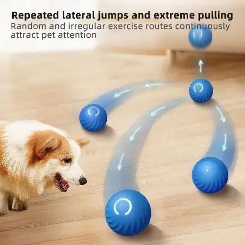 Cat Playing Ball Toy Blu & CType Charger