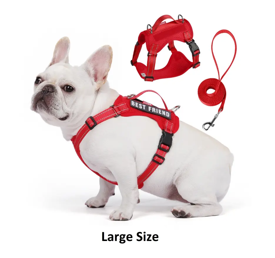 Harness Leash Cat Puppy & S Dog Red L by General — Pet Accessories — PetAura Qatar