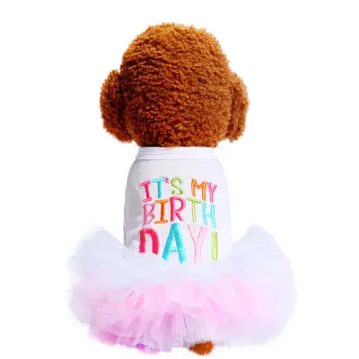 Cat Birthday Dress White & Multi L Size