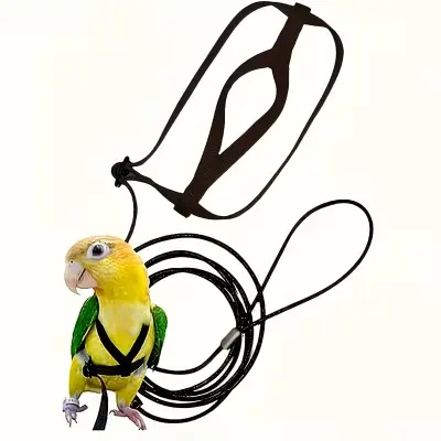 Parrot Harness & Leash BL L Outdoor Training