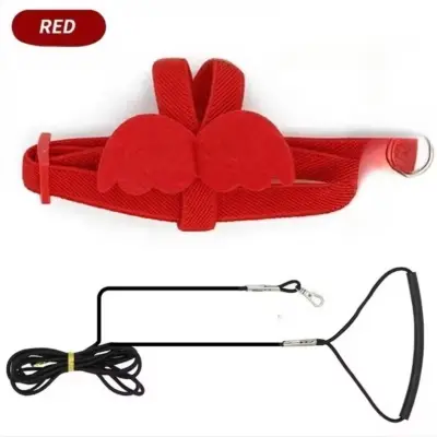 Parrot Harness & Leash Set S s Training