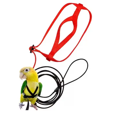 Parrot Harness & Leash Extra S