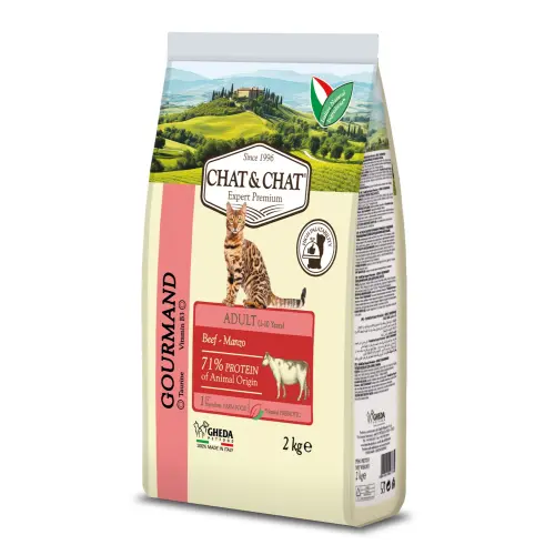 Chat & Chat Adult Beef Dry Cat Food 2kg