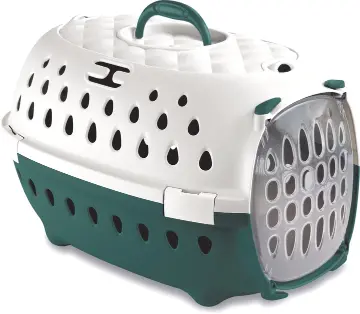 Pet Carrier Travel Chic Green/White