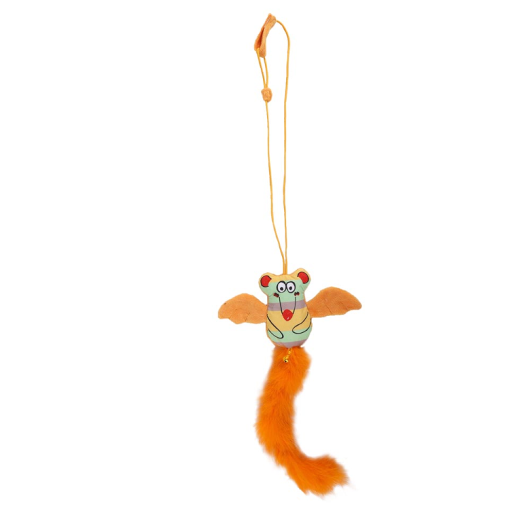 AFP Cartoon Flying Mouse