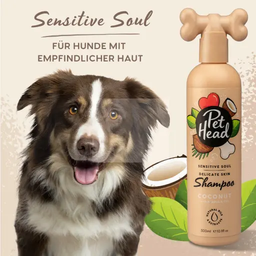 Pet Head Sensitive Soul Shampoo 300 ml by Pet Head — Pet Shampoo — PetAura Qatar