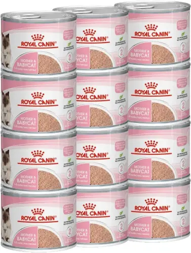 Royal Canin Mother & Babycat Wet Cat Food Can 195g