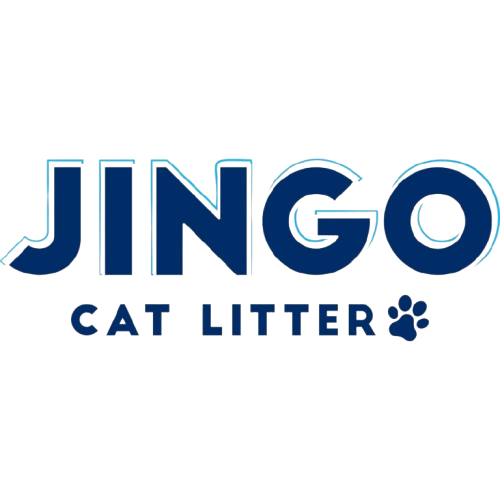 Jingo