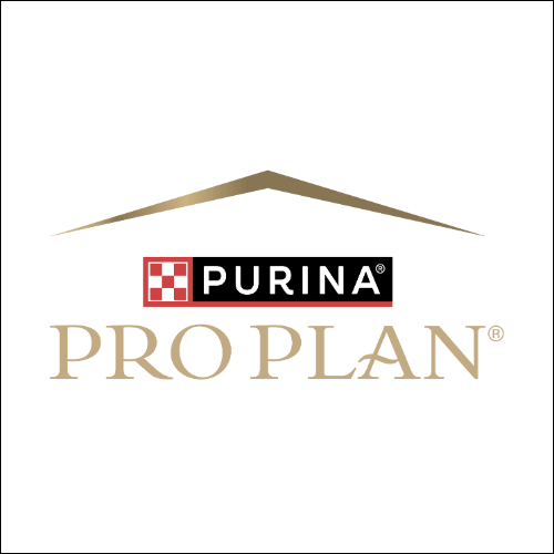 Pro Plan
