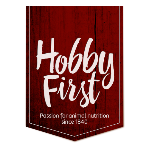 Hobby First